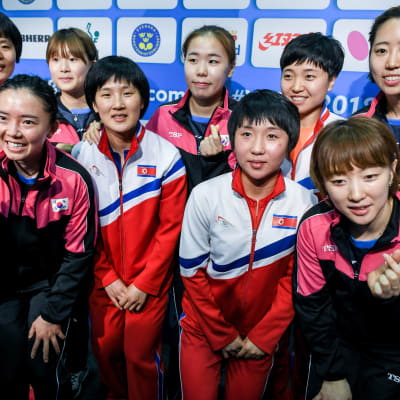 Etelä- ja Pohjois-Korean yhdistynyt joukkue.