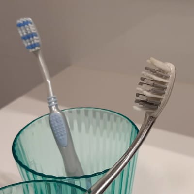 Kaksi hammasharjaa mukeissa