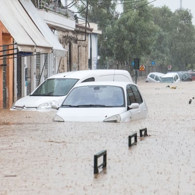 Autoja puolittain veden alla kadulla. Veden pinnalla sateen jälkiä.
