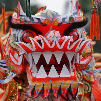 Det nya Ã¥ret firas med drak- och lejondanser.