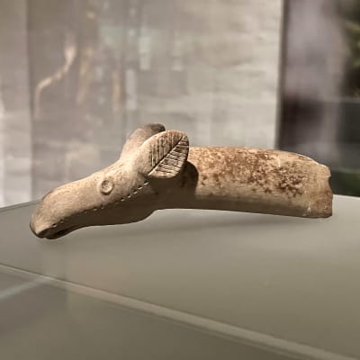 Lasivitriinissä oleva beige, kivestä veistetty, noin 4 000 vuotta vanha hirvenpää, joka on ollut osa hirvenpäävasaran hamaraa.