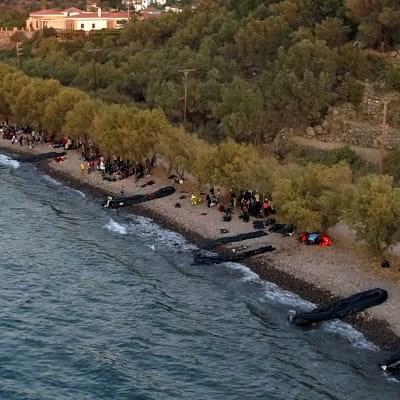 Gummibåtar på Lesbos stränder efter att 13 flyktingbåtar plötsligt kom över sundet från Turkiet.