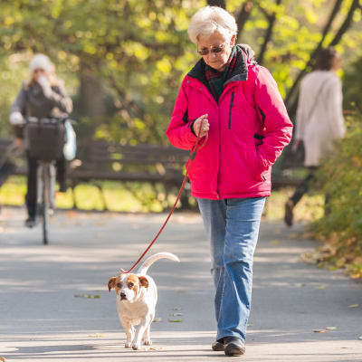 En äldre kvinna går i en park med en hund. I bakgrunden syns en person cykla. 