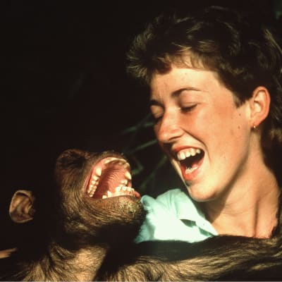 Simpanssi ja nainen irvistävät iloisesti, apinan käsi naisen niskassa