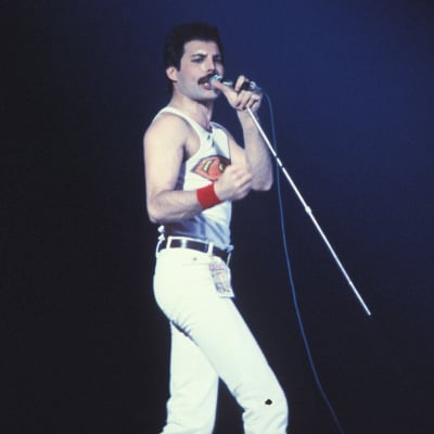 Freddie Mercury lavalla.