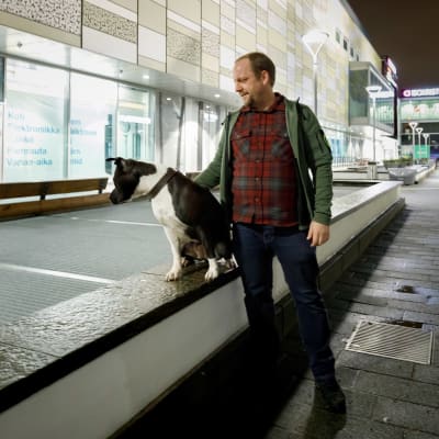 Punaruutuiseen paitaan pukeutunut Janne Keinänen koirineen kaupunkikeskustan maisemassa, taustalla näkyy liikerakennuksia ja kävelykatu.