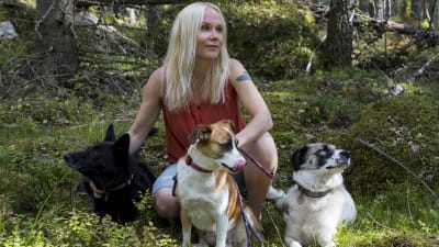 Filosofi Elisa Aaltola ja kolme koiraa metsässä.