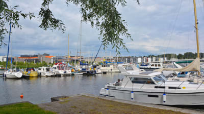 Flera motorbåtar och segelbåtar är förtöjda vid några bryggor i Borgå å. Bilden är tagen från land så att den översta delen av bilden skyms av en nedhängande gren från trädet intill ån.