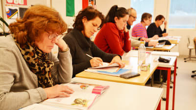 En rad med människor av olika ålder och kön sitter bakom pulpeter och koncentrerar sig på läroböckerna framför sig.
