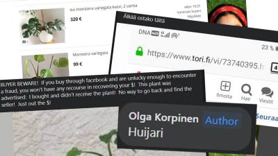 Ett bildkollage med skärmdumpar från olika nätsidor, där texter och bilder handlar om bedrägeri.