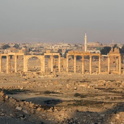 Vy över världsarvet Palmyra i Syrien.