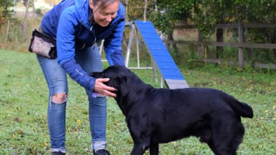 hundägar med svart hund