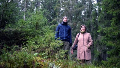 Panu Kunttu och Ritva Kovalainen mitt i en stor granskog.