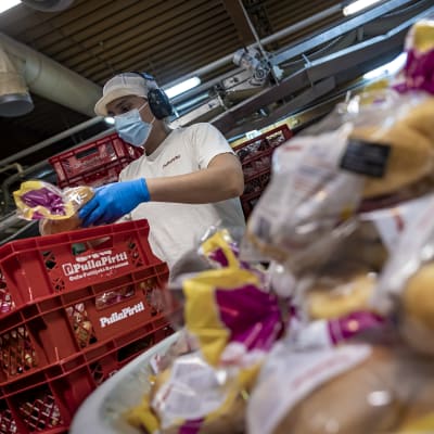 Oulun leipomossa Pulla-Pirtin työntekijä pakkaa Pitkis-leipiä laatikoihin