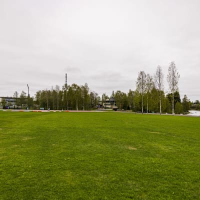 Oulun Kuusisaari