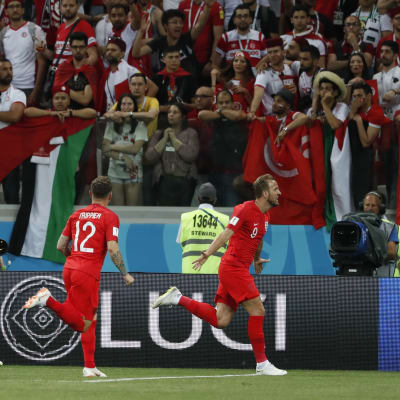 Harry Kane och England firar