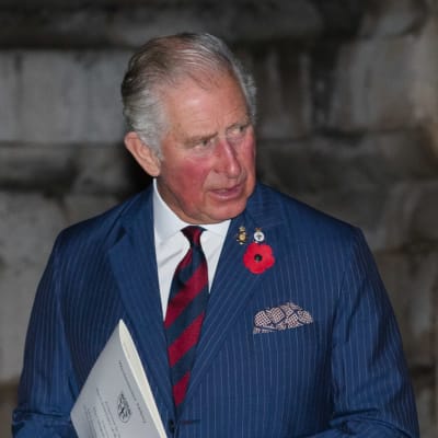 Prins Charles vid firandet av 100-årsdagen av första världskrigets slut.