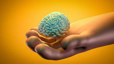 Yksinäisen ihmisen käsi pitelee aivoja.