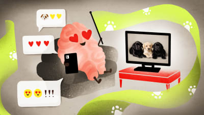 Piirros, jossa aivoja muistuttava hahmo katselee sydänsilmin televisiosta koiranpentuja ja pitelee kädessä älypuhelinta sekä viiriä, jossa on tassukuviota.