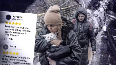 Flyende ukrainare. Framme i bilden en kvinna med en vit katt i famnen. Dessutom en bild av en restaurangrecension som berättar om kriget,