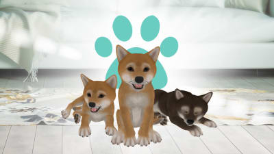 Kolme piirrettyä shiba-koiraa lattialla maton päällä.