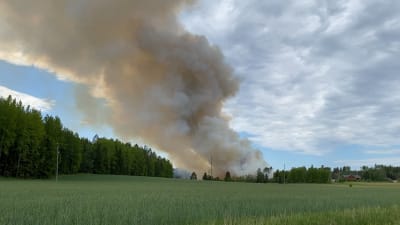 Stor rökpelare mot himmelen.