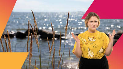 Programledaren står framför en bild av Östersjön