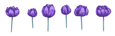 Tulppaaneja