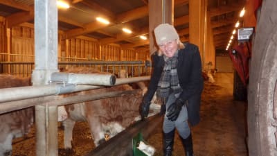 Ann Storsjö är en av de köttproducenter som ska lotsa fram ett nytt slakteri i Västnyland