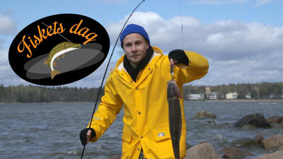 Bild till fiskets dag-juttu.