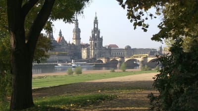 Stadsvy över Dresden