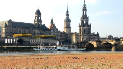 Stadsvy över Dresden