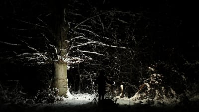 Mikko Kuorinkis "Turn the Light" (2011).