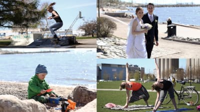 Helsingforsare en sommardag