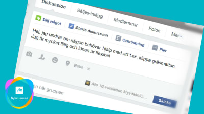 En skärmdump av en statusuppdatering på Facebook där en ungdom erbjuder sig att t.ex. klippa gräsmattan åt folk.