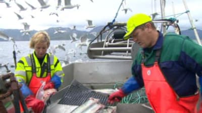 Tor är sjösame och bor på Stjernøya med sin fru där de livnär sig på fiske.