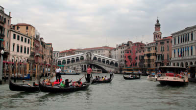 Gondoleja ja muita veneitä Venetsian Canal Grandella, taustalla Rialton silta.