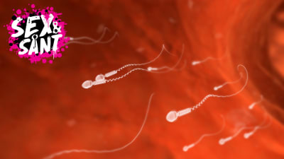 illustrerade spermier