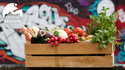 Puinen laatikko on täynnä vihanneksia. Taustalla on graffitiseinä.