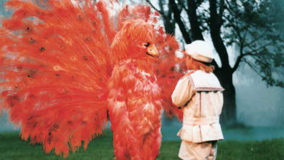 Riki möter Eldfågeln i Den förtrollade vägen, 1986
