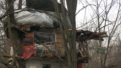 Sedan fem år är Hambacher forts ockuperad. Demonstranterna bor i träkojor i skogen