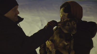 Hunden Emilia har kommit med bil från Sankt Petersburg till Sibboviken. De nya ägarna Brent Hasty och Eeva Patrakka tar emot henne.