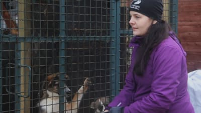 Aino Arjas och andra frivilliga från Viipurin koirat besöker ofta hundgårdarna i Viborg. 