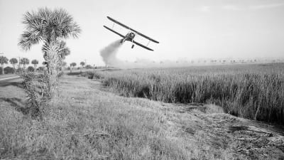 På 1950-talet använde man sig av flygplan för att bespruta åkrar med DDT. 