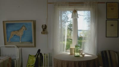 Fönster och utsikt på Eva Hietanens villa 