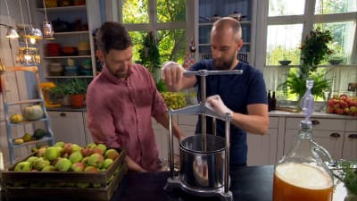 Två män pressar must i en äppelpress.