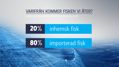En grafikbild som berättar att 20 % är inhemsk fisk, resten är importerad.