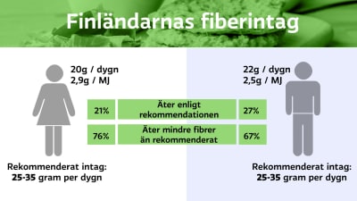 Fiberintag