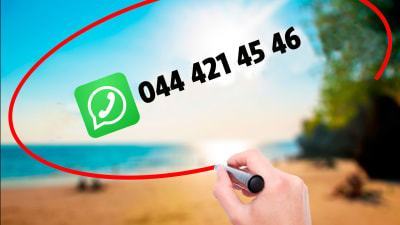 BUUänskemusiks Whatsappnummer i ritad pratbubbla mot solig strandbakgrund i tropikerna.