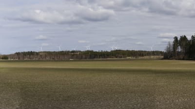 Åker, skog och vindkraftverk i bakgrunden.
